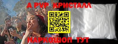 крисы Камышлов