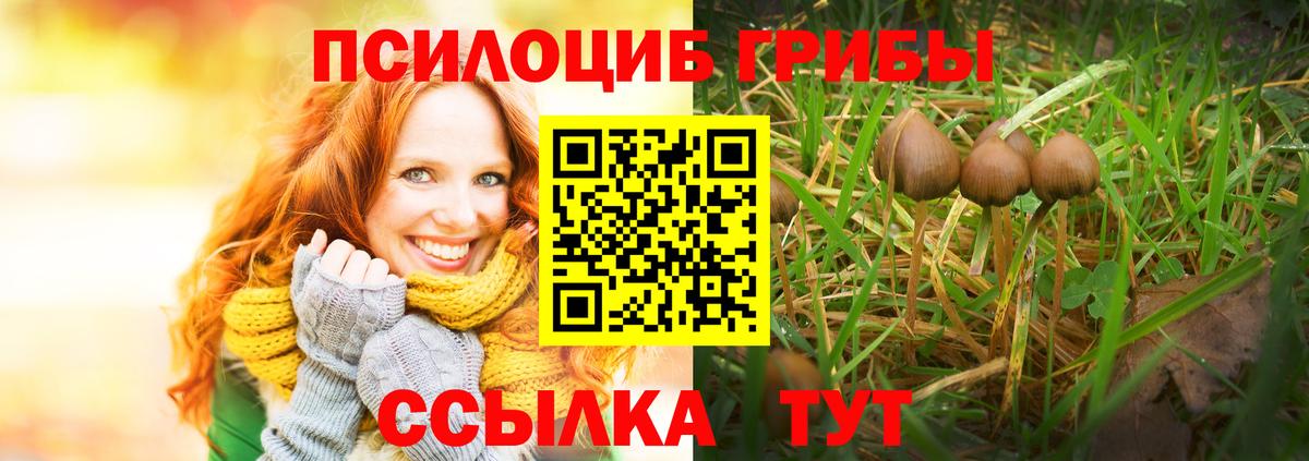 Красноярск  Галлюциногенные грибы мухоморы  Вход с VPN 