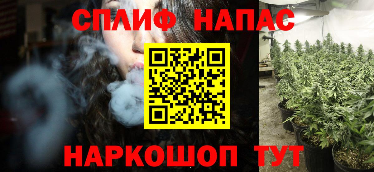Марихуана конопля Красноярск